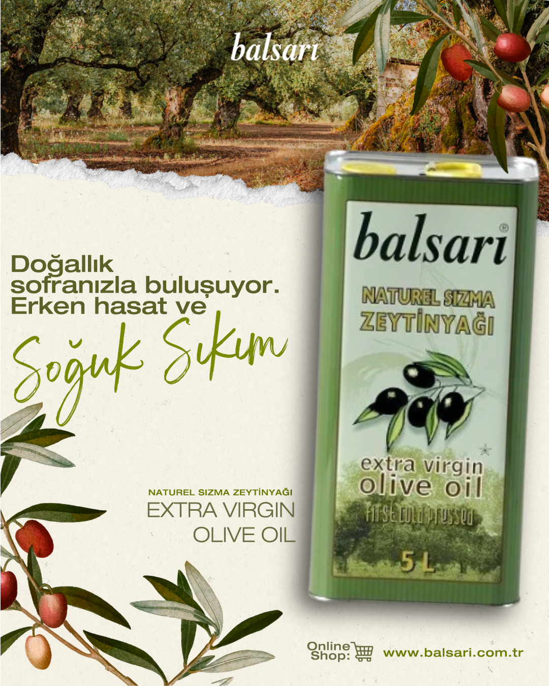 Balsari Soğuk Sıkım Sızma Zeytinyağı [5Ltr]